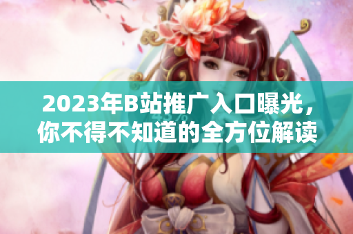 2023年B站推广入口曝光，你不得不知道的全方位解读！