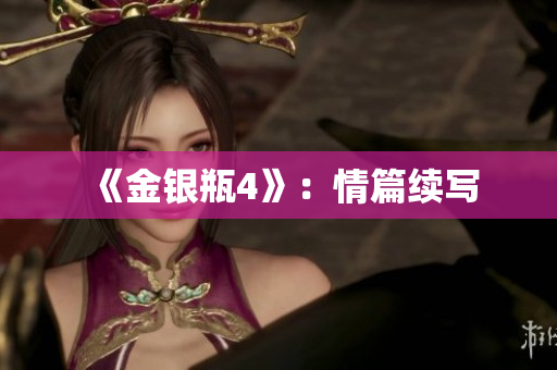 《金银瓶4》：情篇续写