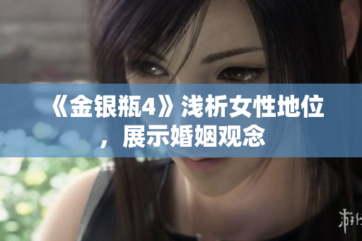 《金银瓶4》浅析女性地位，展示婚姻观念