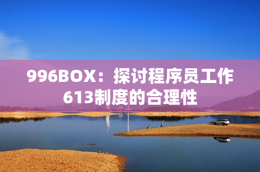 996BOX：探讨程序员工作613制度的合理性