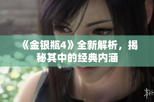 《金银瓶4》全新解析，揭秘其中的经典内涵