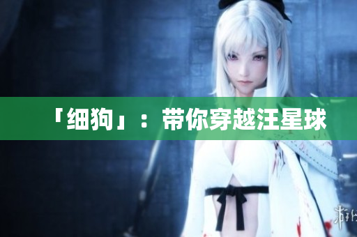 「细狗」：带你穿越汪星球