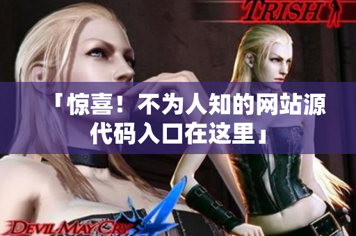 「惊喜！不为人知的网站源代码入口在这里」