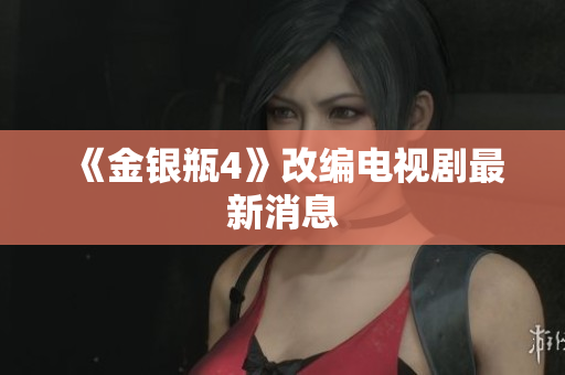 《金银瓶4》改编电视剧最新消息