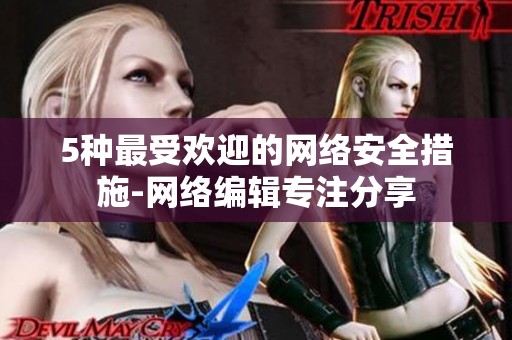 5种最受欢迎的网络安全措施-网络编辑专注分享