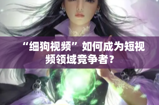 “细狗视频”如何成为短视频领域竞争者？