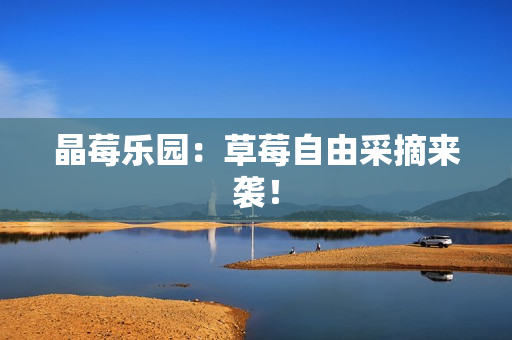 晶莓乐园：草莓自由采摘来袭！
