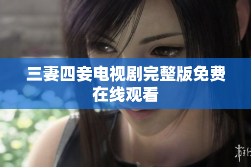 三妻四妾电视剧完整版免费在线观看
