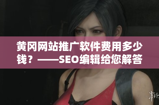 黄冈网站推广软件费用多少钱？——SEO编辑给您解答