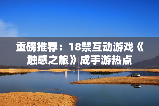 重磅推荐：18禁互动游戏《触感之旅》成手游热点