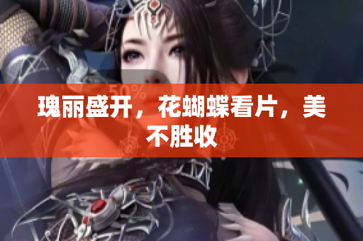 瑰丽盛开，花蝴蝶看片，美不胜收