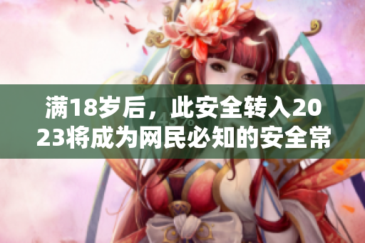 满18岁后，此安全转入2023将成为网民必知的安全常识
