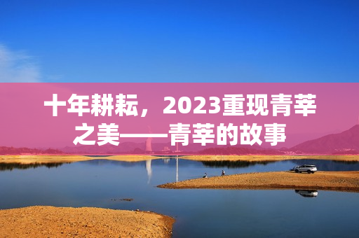 十年耕耘，2023重现青莘之美——青莘的故事