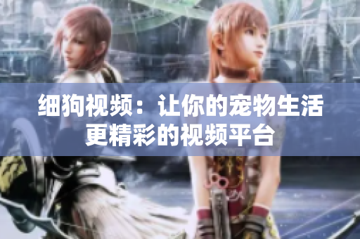 细狗视频：让你的宠物生活更精彩的视频平台