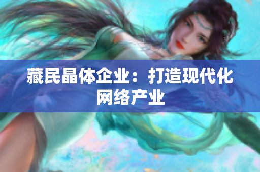 藏民晶体企业：打造现代化网络产业
