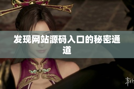 发现网站源码入口的秘密通道