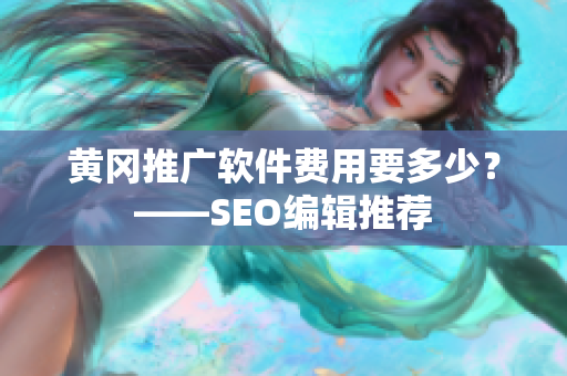 黄冈推广软件费用要多少？——SEO编辑推荐