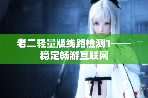 老二轻量版线路检测1——稳定畅游互联网