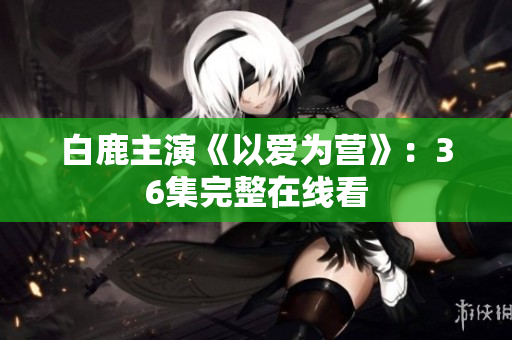 白鹿主演《以爱为营》：36集完整在线看