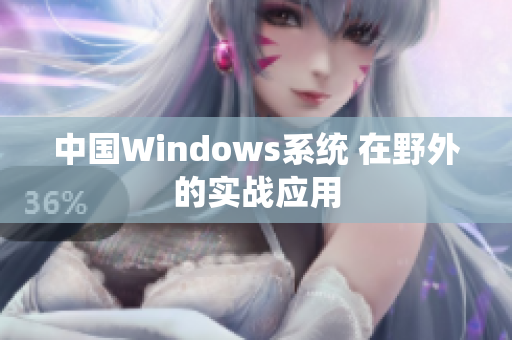 中国Windows系统 在野外的实战应用