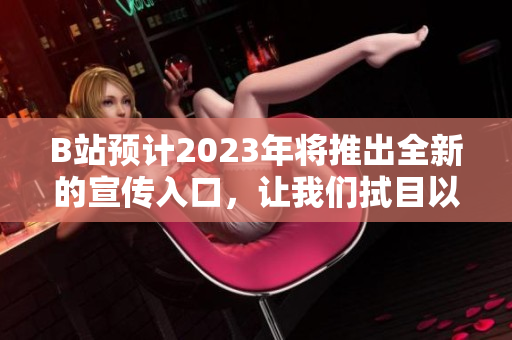 B站预计2023年将推出全新的宣传入口，让我们拭目以待！
