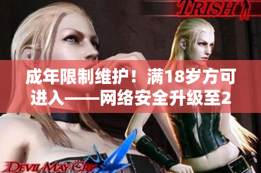成年限制维护！满18岁方可进入——网络安全升级至2023年