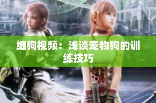 细狗视频：浅谈宠物狗的训练技巧
