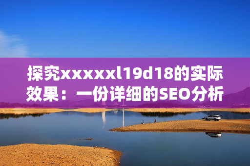 探究xxxxxl19d18的实际效果：一份详细的SEO分析报告