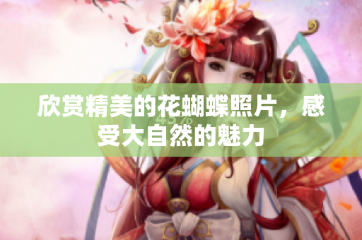欣赏精美的花蝴蝶照片，感受大自然的魅力