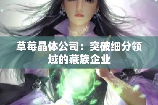 草莓晶体公司：突破细分领域的藏族企业