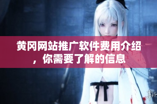 黄冈网站推广软件费用介绍，你需要了解的信息