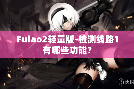 Fulao2轻量版-检测线路1有哪些功能？