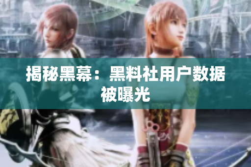 揭秘黑幕：黑料社用户数据被曝光