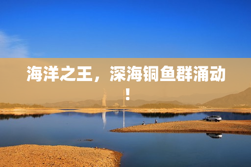 海洋之王，深海铜鱼群涌动！