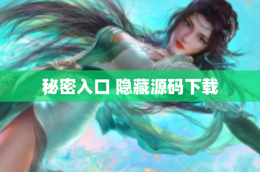 秘密入口 隐藏源码下载