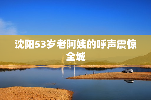 沈阳53岁老阿姨的呼声震惊全城