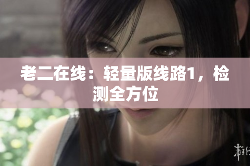 老二在线：轻量版线路1，检测全方位