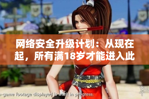 网络安全升级计划：从现在起，所有满18岁才能进入此网站！