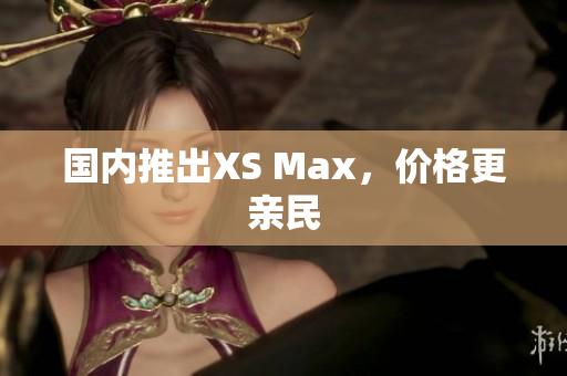 国内推出XS Max，价格更亲民