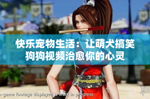 快乐宠物生活：让萌犬搞笑狗狗视频治愈你的心灵