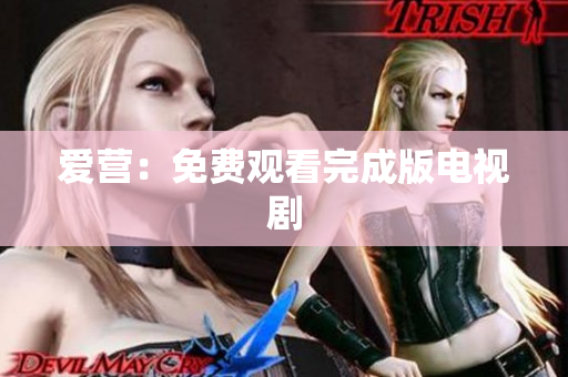 爱营：免费观看完成版电视剧
