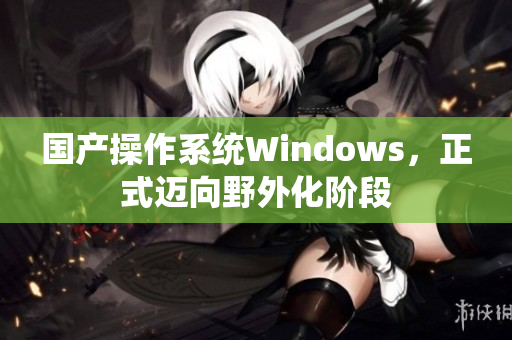 国产操作系统Windows，正式迈向野外化阶段