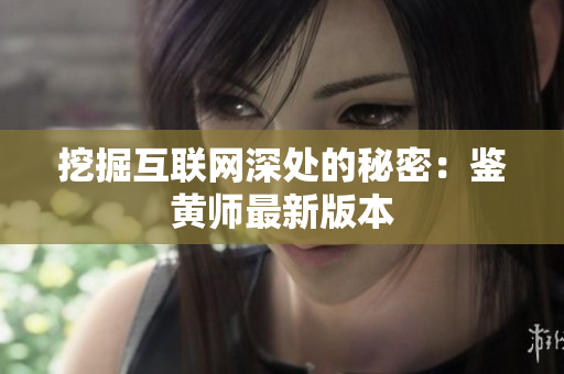 挖掘互联网深处的秘密：鉴黄师最新版本