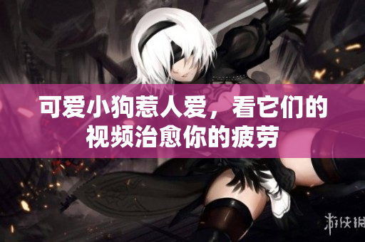 可爱小狗惹人爱，看它们的视频治愈你的疲劳