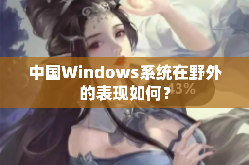 中国Windows系统在野外的表现如何？