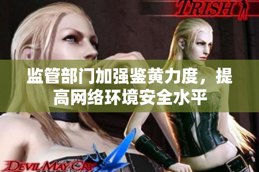 监管部门加强鉴黄力度，提高网络环境安全水平