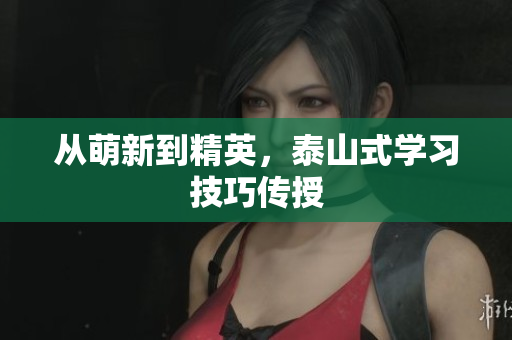 从萌新到精英，泰山式学习技巧传授