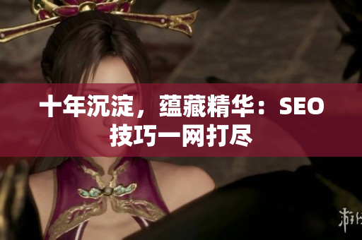 十年沉淀，蕴藏精华：SEO技巧一网打尽