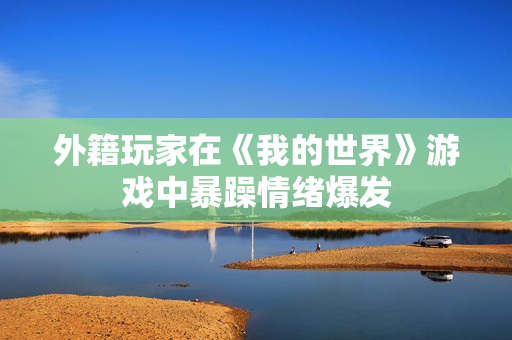 外籍玩家在《我的世界》游戏中暴躁情绪爆发