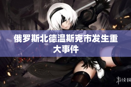 俄罗斯北德温斯克市发生重大事件